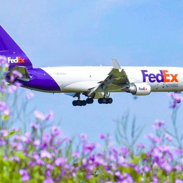 FedEx個(gè)人寄件服務(wù)-快捷可靠的個(gè)人快遞寄送服務(wù)
